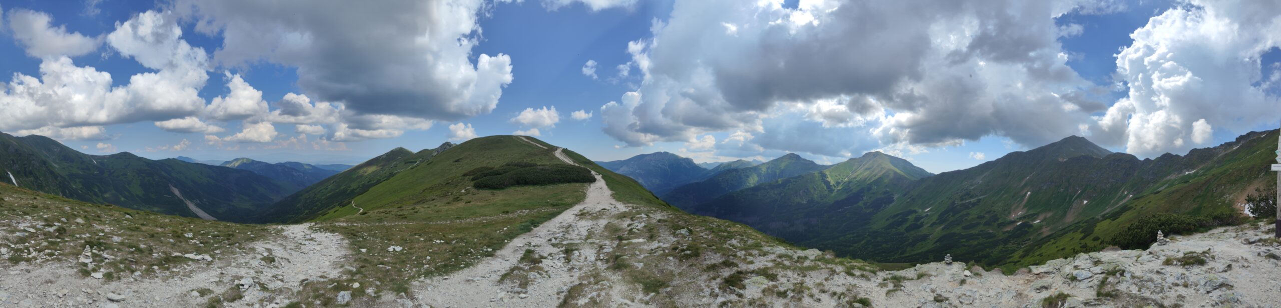 Oplus_4