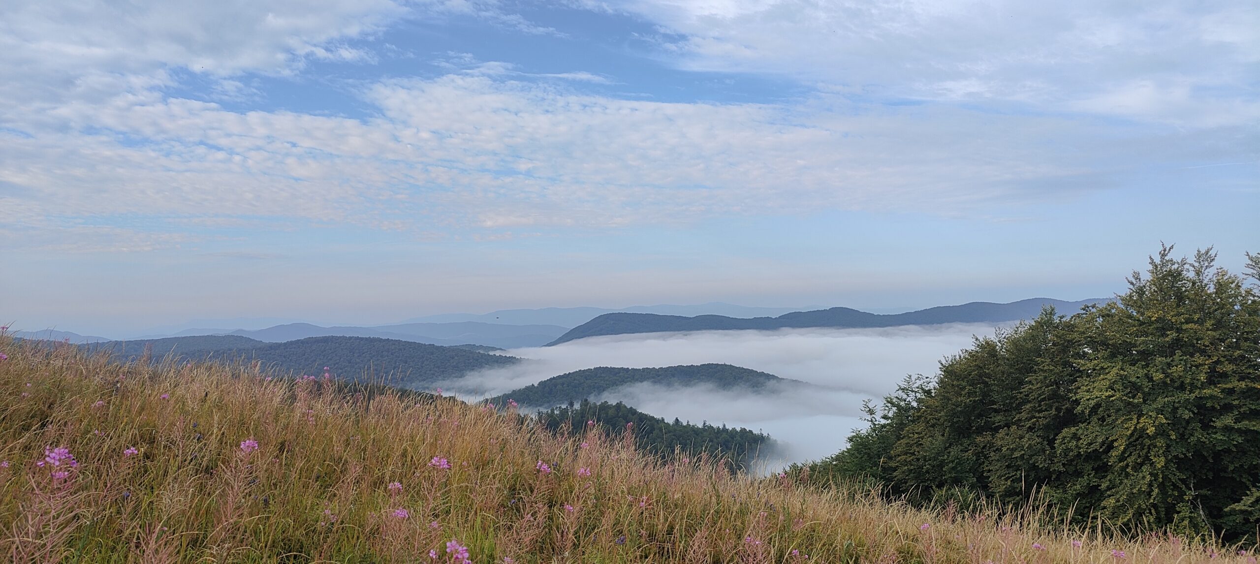 Jasło, Hyrlata i Berdo – Bieszczady