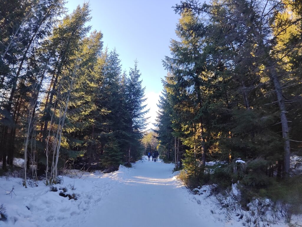 oplus_0