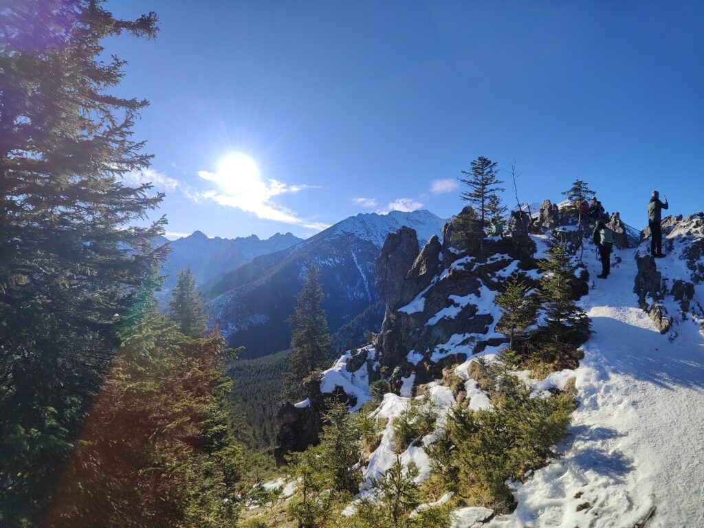 oplus_0