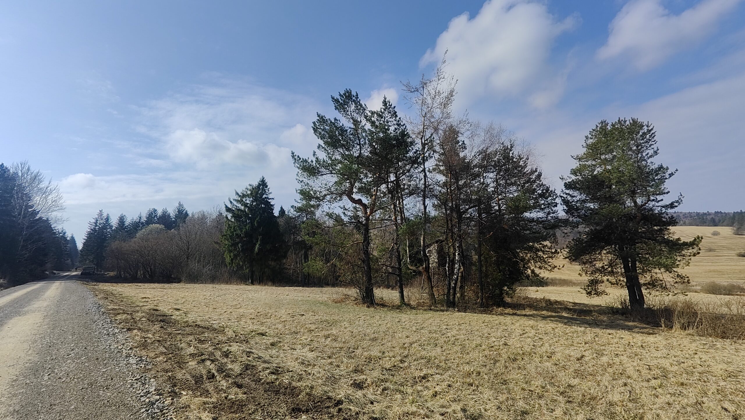 oplus_0