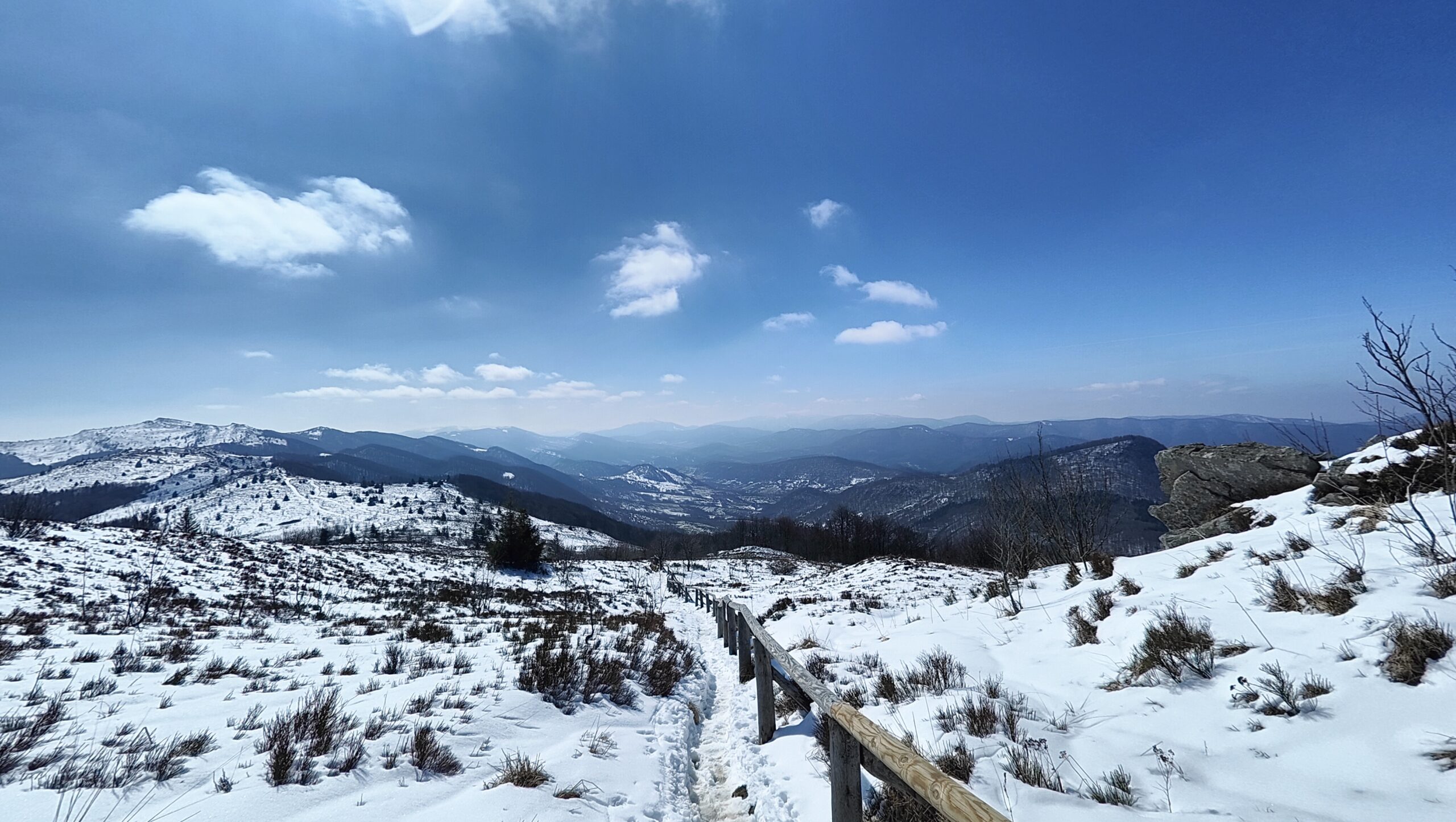 oplus_0