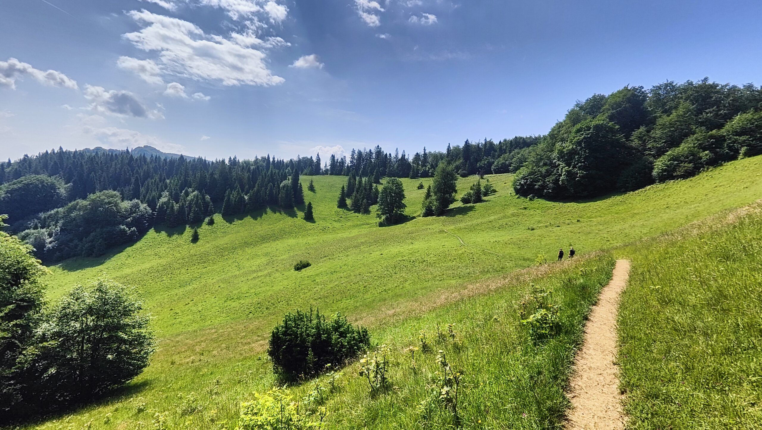 Wysoka i Radziejowa – Pieniny i Beskid Sądecki