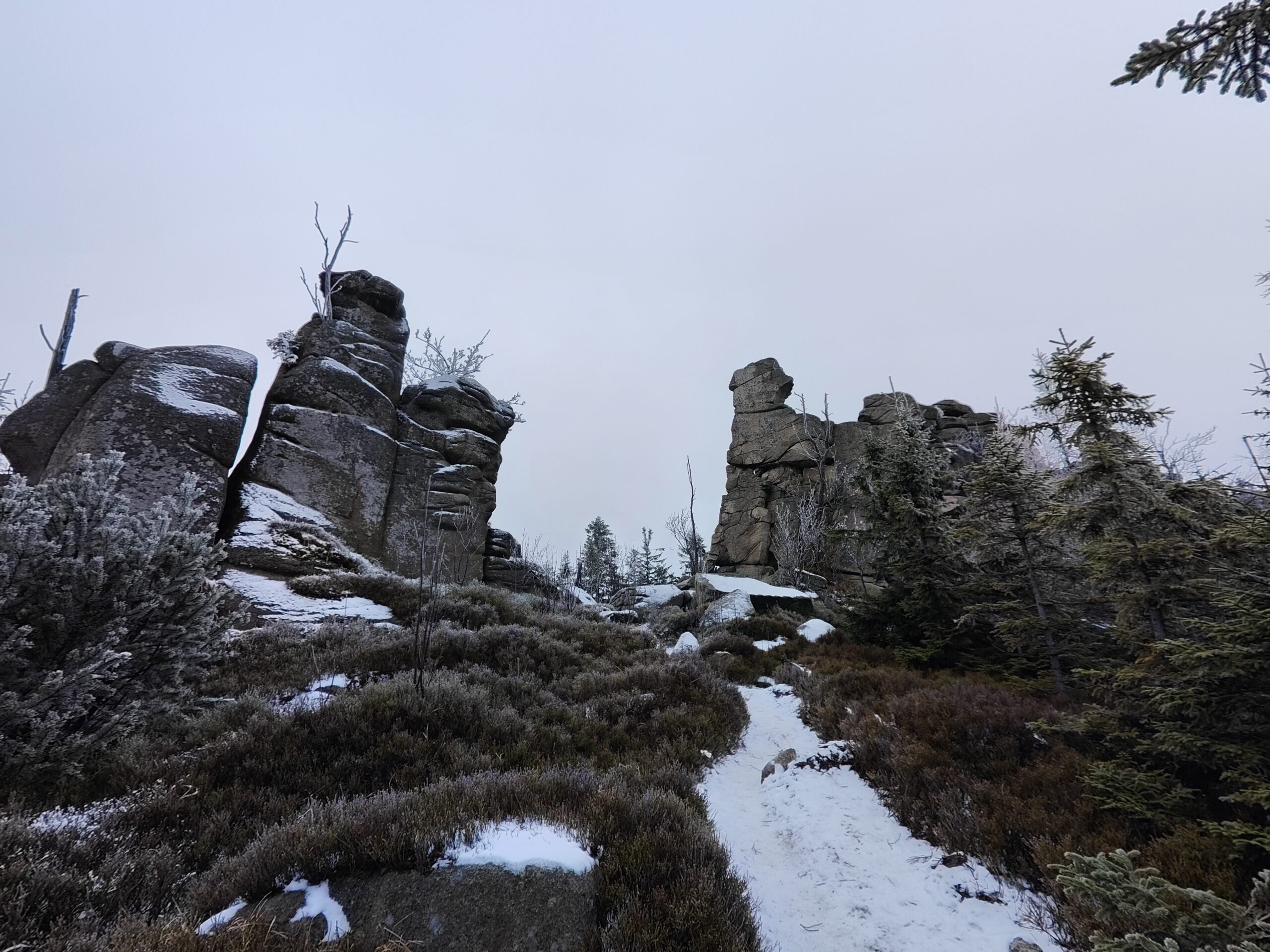 oplus_0