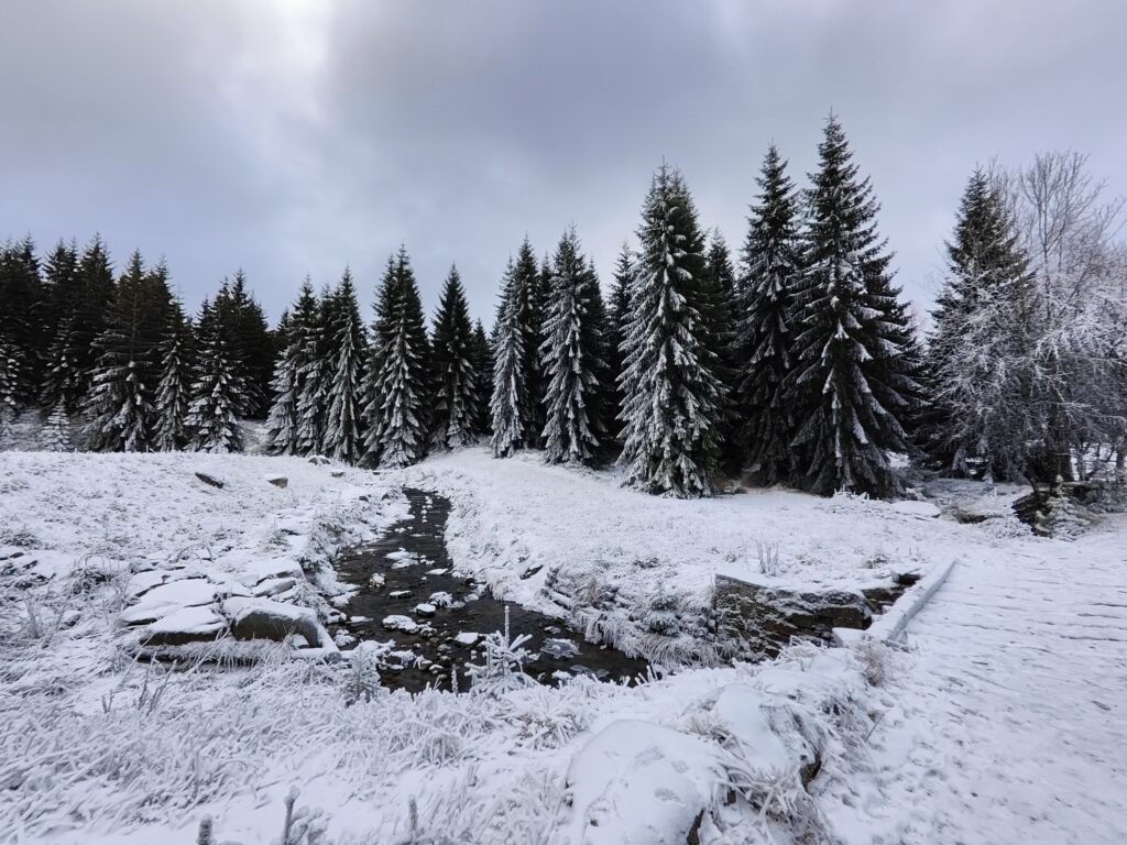oplus_0