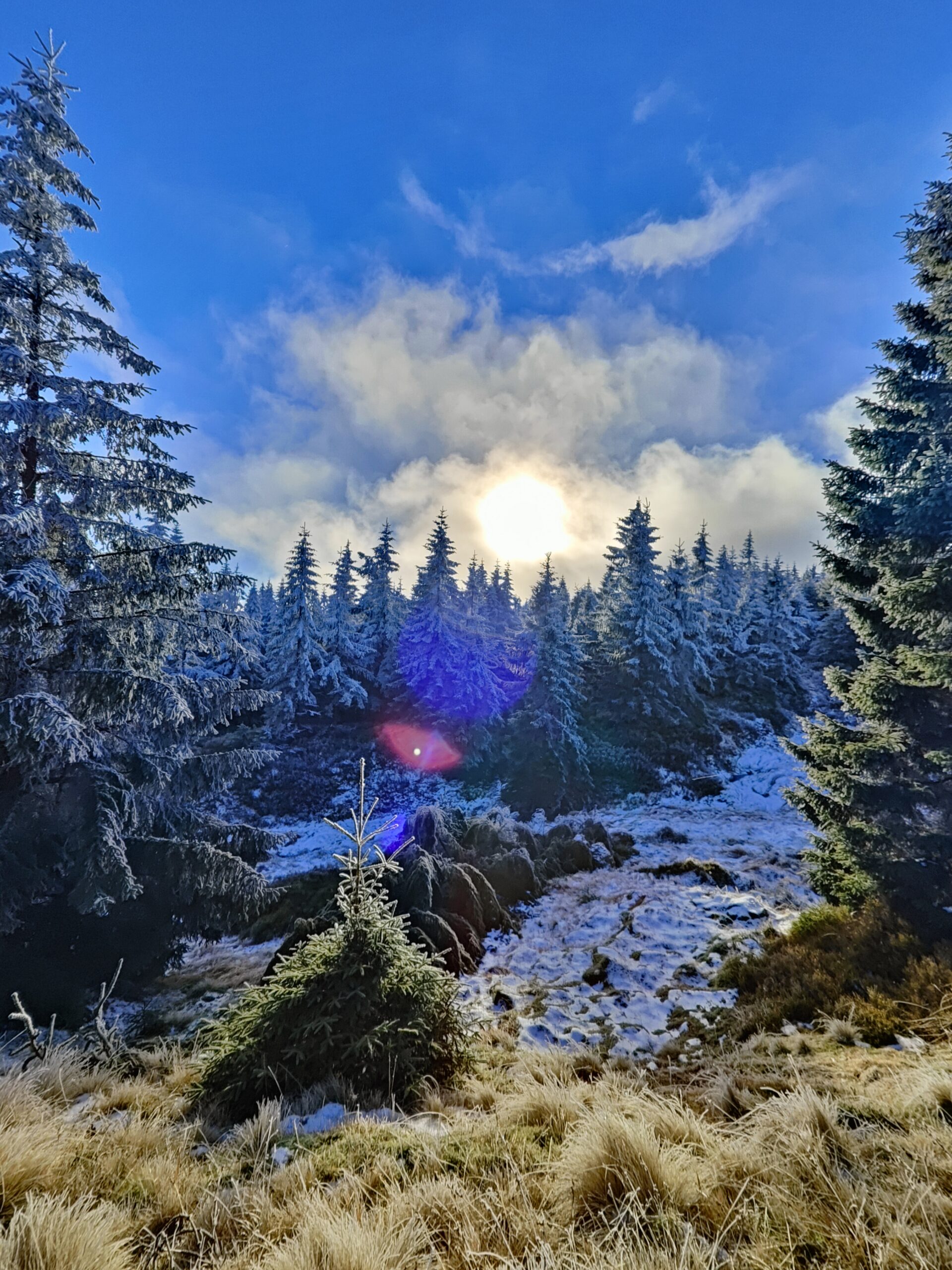 oplus_32