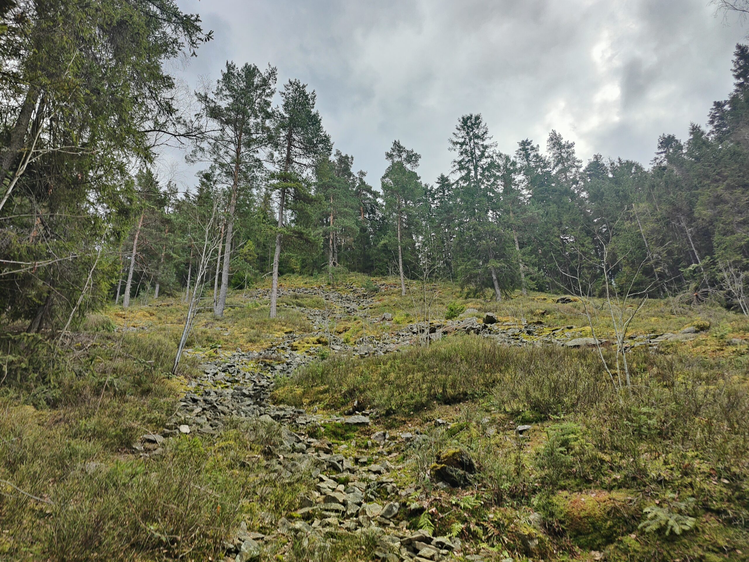 oplus_0
