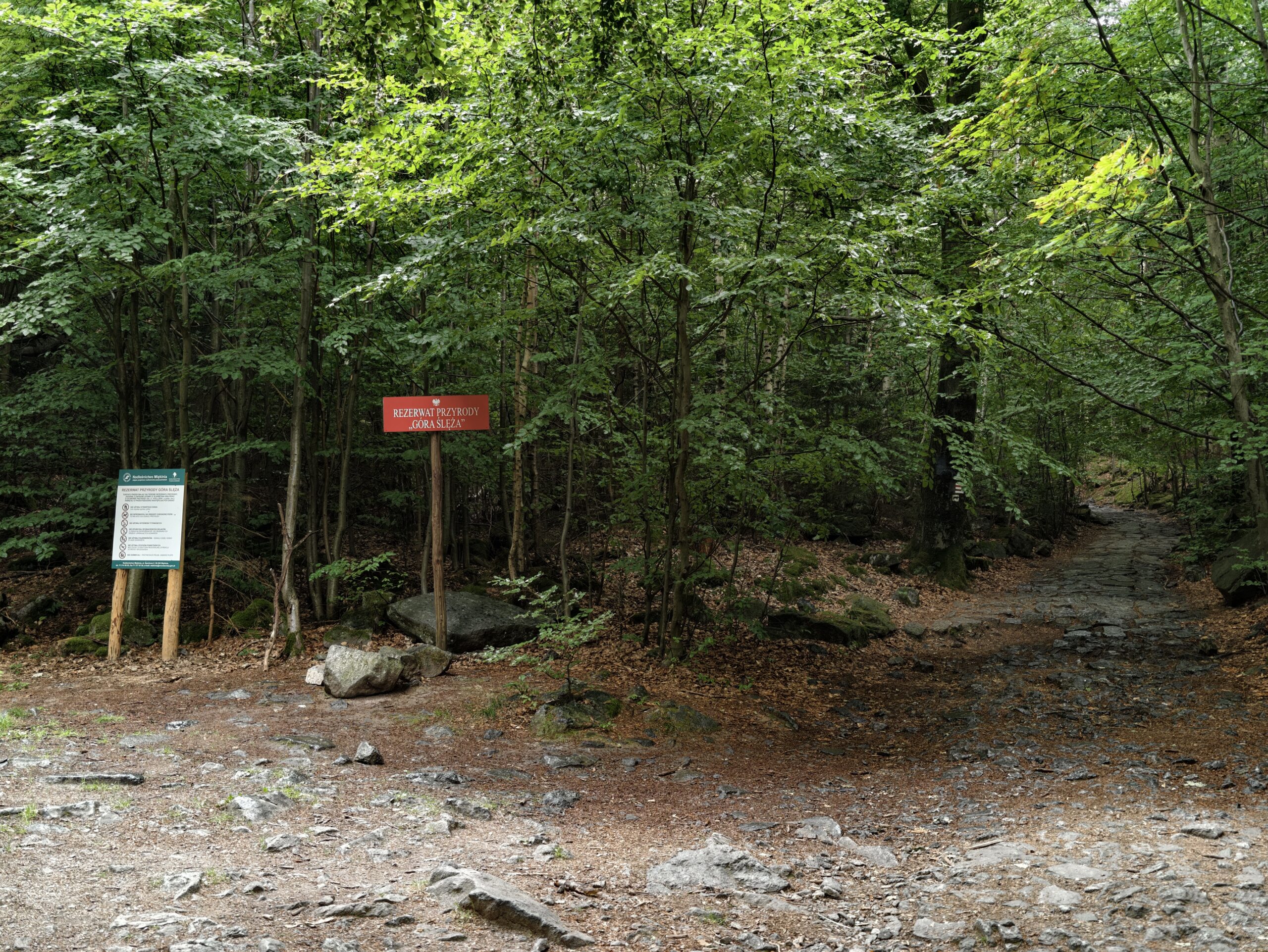 IMG_20260712_074911